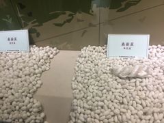 -杭州西湖丝绸文化博物馆