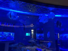 -上和臻品中国菜(花园街店)