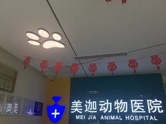 -美迦爱-牙专科·兔科·骨科诊疗中心(北苑店)