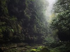 -碧峰峡风景区