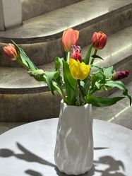 -MIDA蜜哒•科技逆龄美肤连锁