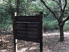 -普陀山风景区-佛顶山