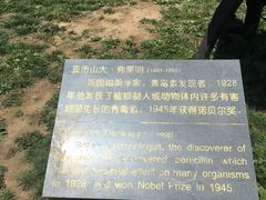 -大连东软信息学院(软件园校区)