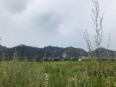 -敕勒川草原文化旅游区