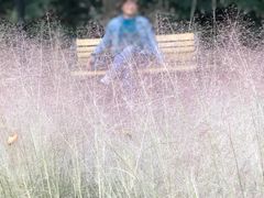 -苏州河梦清园环保主题公园