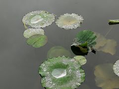 -瑞虹新天地月亮湾