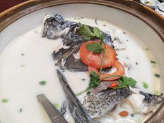 -全乐鱼馆·淳牌有机鱼直营店