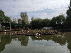 -三圣花乡旅游区