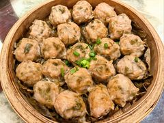崩大碗蒸土猪肉丸-园林美食城·本土农家菜(杨和镇店)