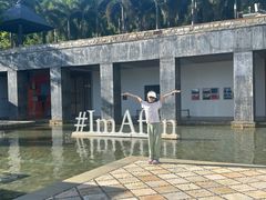 -日落吧·海景咖啡厅·餐酒吧·鸡尾酒·下午茶·乐队表演·浪漫夕阳·三亚文华东方酒店