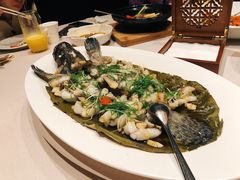 鸡枞菌蒸黄皮老虎斑-三利音·东方司宴(外滩店)