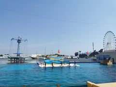 -秦皇岛乐岛海洋王国