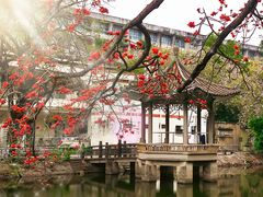 -黄埔古港