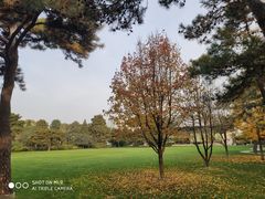 -钓鱼台国宾馆