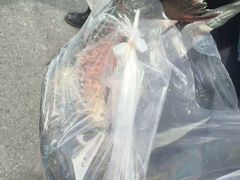 -南京金牛湖风景区