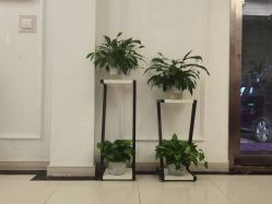 -香秀空间科技抗衰·美容中心