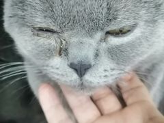 -极木²邸 人与宠物·互动社区