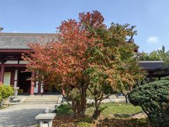 -南翔古镇