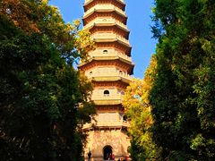 -灵谷景区
