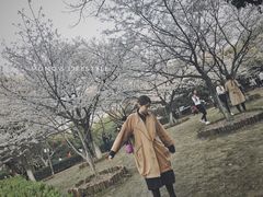 -武汉大学-樱园