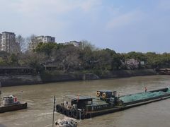 -运河游船(武林门码头)