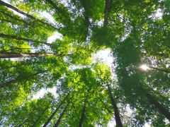 -山王坪喀斯特国家生态公园