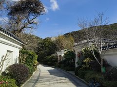 -舟山朱家尖绿城威斯汀度假酒店