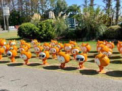 -上海长兴岛郊野公园