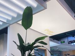 -丹礼糖甜品