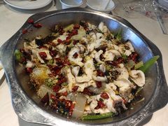 -万和源炝锅城·活鱼现炝(文艺北路店)