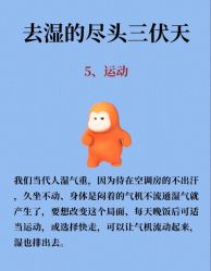 -Fundi张玉珊修身堂·indiba·BTL科技瘦身