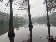 -重庆彩云湖湿地公园