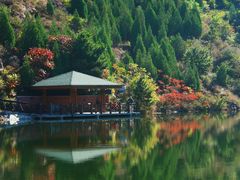 -仙居谷风景区