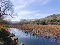 -浙江西湖美术馆