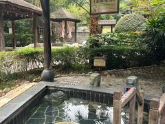 -明月山天沐温泉度假村