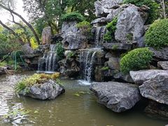 -东莞植物园