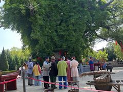 -大槐树寻根祭祖园