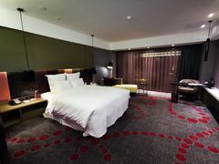 -南京禄口机场雅高铂尔曼大酒店