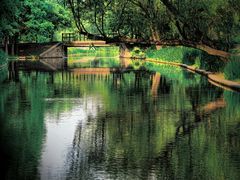 -上海共青森林公园