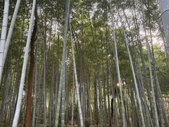 -青龙山国家森林公园