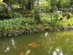 -成都杜甫草堂博物馆