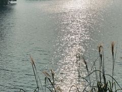 -红花湖景区