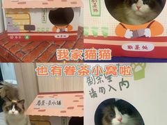 -眷茶(大卫城10楼店)