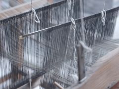 -鲁山国家森林公园