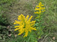 -南京金牛湖风景区