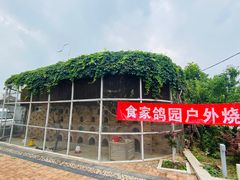 -食家鸽园