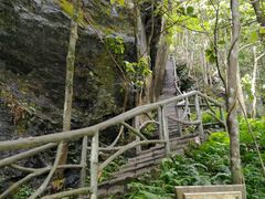 -石台牯牛降景区