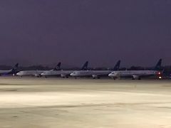 -厦门高崎国际机场-T3航站楼