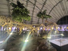 -辽宁古生物博物馆
