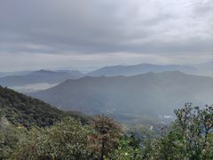 -梧桐山风景名胜区